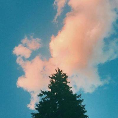 Kaiyun(云开)体育App(官方)