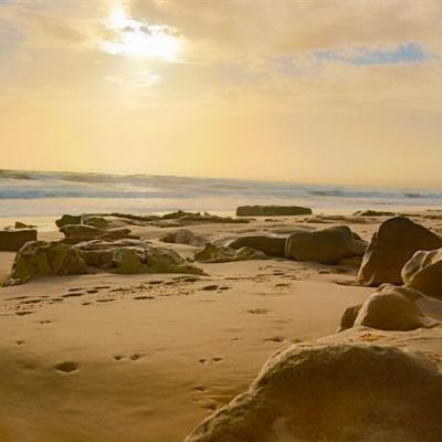 小罗代言米乐体育app手机app下载